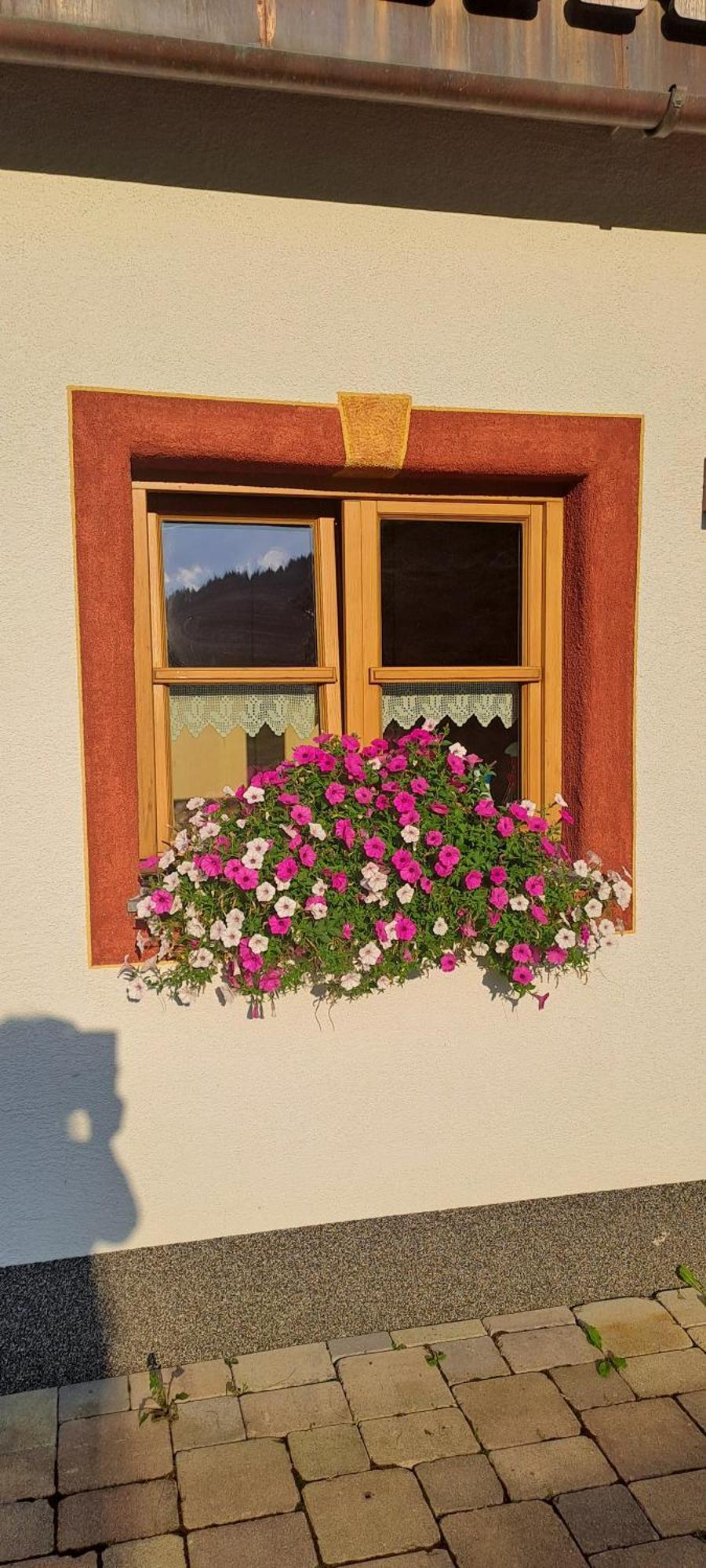 Ferienwohnung Steinernes Meer Мария Алм ам Щайнернен Мер Екстериор снимка