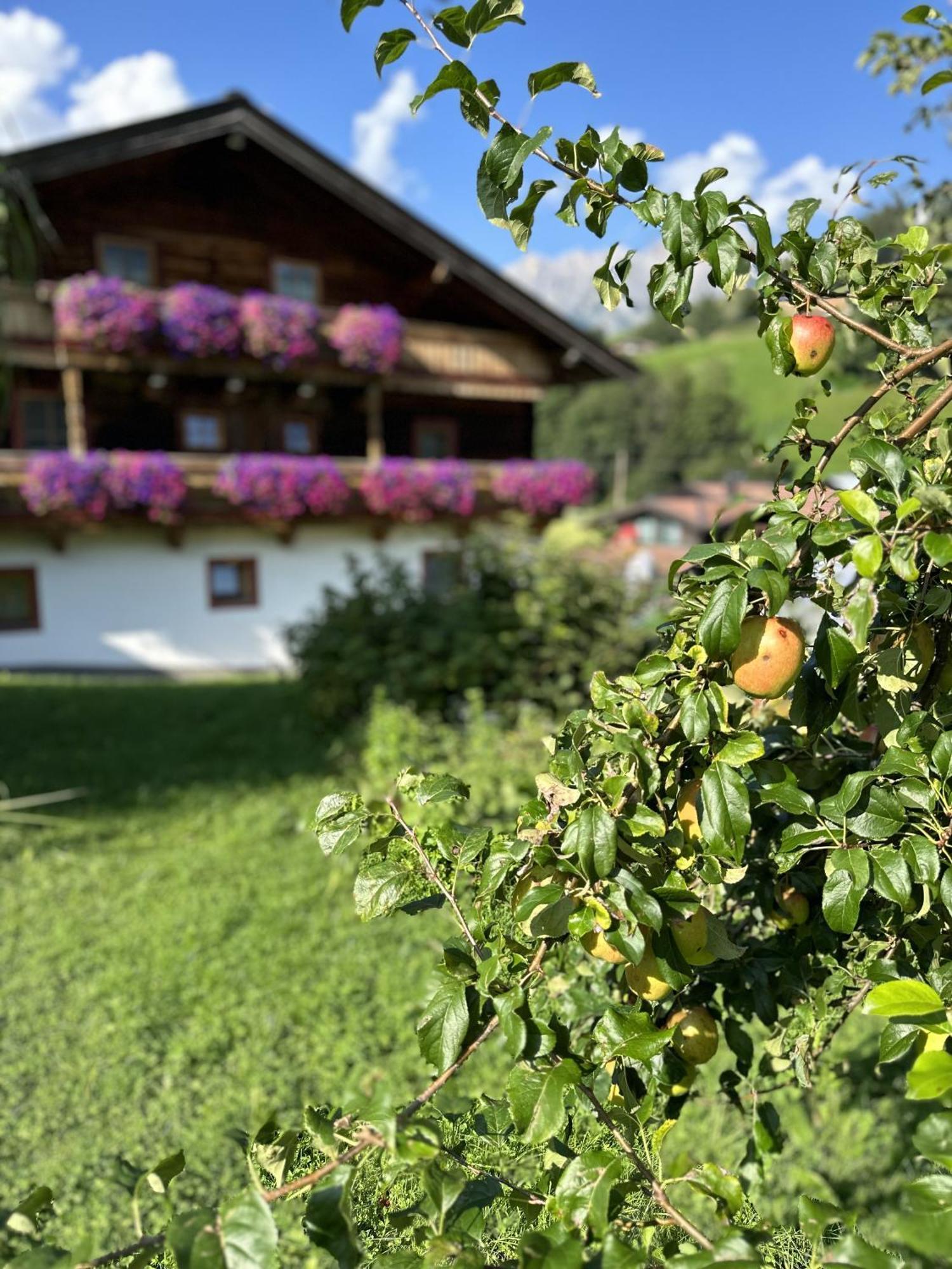 Ferienwohnung Steinernes Meer Мария Алм ам Щайнернен Мер Екстериор снимка